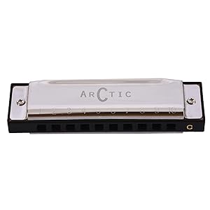 Arctic Key C 10 Hole Diatonic Blues Mouth Organ Harmonica for Professional Player, Silver