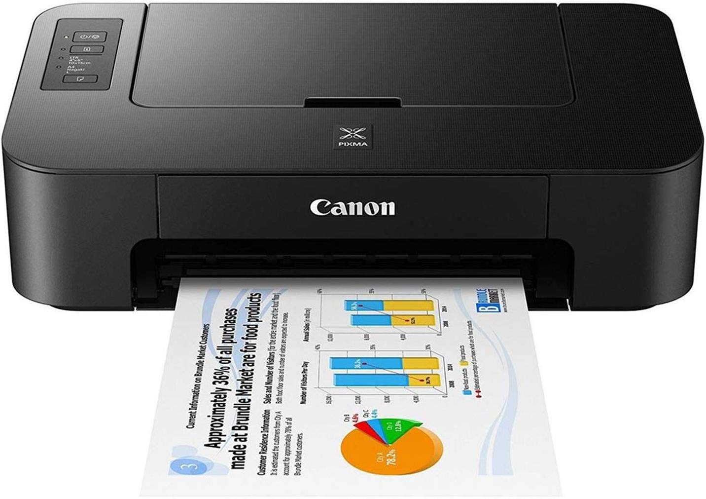 Canon Pixma TS207 Single Function Inkjet Printer (Black) Rs.1649