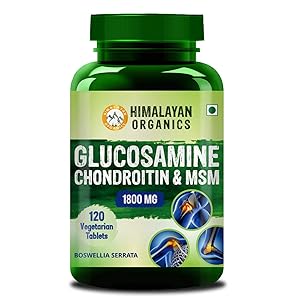 Himalayan Organics Glucosamine HCL Chondroitin MSM with Boswellia | For Bone, Joint & Cartilage Support | 120 Tablets