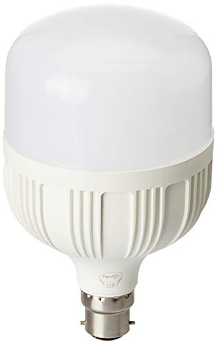 Pigeon LED Joy Bulb B22-6500K  - 27W