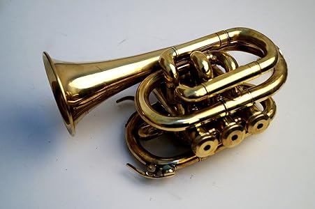 Tu Casa Vintage Brass Sexophone in Working Condition Brass (25.4 cm x 12.7 cm x 10.16 cm, Gold)