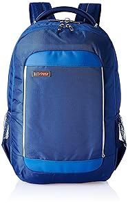 VIP Radian 27 Ltrs Teal Blue Laptop Backpack