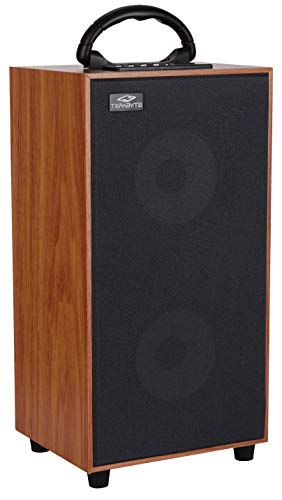 Terabyte Wireless Portable Wooden Bluetooth Speaker (Black)