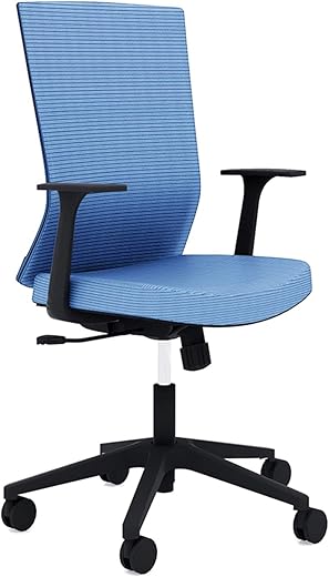 Sunon Office Chairs Computer Chairs Ergonomics Design Double Wire Mesh Office Chair with Fixed Armrest Back Support for Office and Home(Blue)