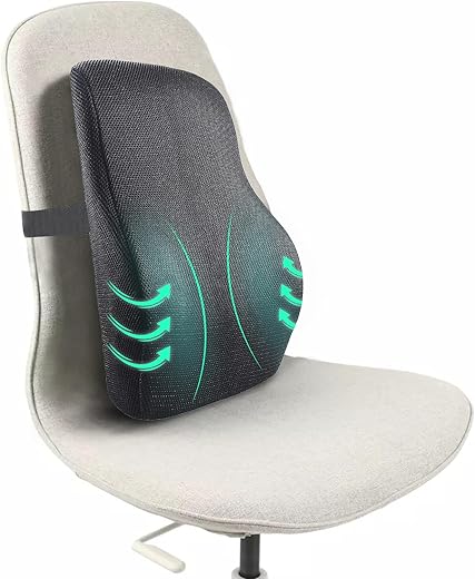 Sleepsia Lumbar Support Memory Foam Orthopedic Back Cushion – Back Rest Cushion for Car, Chair and Office Chair (17.5" L× 15.5" W × 5.5" H) Black