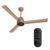 Crompton Energion Nucleoid 1200mm BLDC Ceiling Fan | Remote Control | BEE 5 Star Energy Rated | High Air Delivery | 4 Years Manufacturer Warranty | Gilded Beige