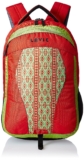 Lavie Orange Laptop Backpack Rs.490 – Amazon