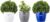 Amazon Brand – Solimo Round Planter, Set of 3 (White, Blue, Grey)