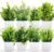 Dekorly Artificial Potted Plants, 8 Pack Artificial Plastic