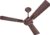 Havells 1200mm Ambrose ES Ceiling Fan 