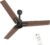 Polycab Wizzy Neo 1200mm 5-Star BLDC, Remote Ceiling fan for Living Room| 55% Energy Saving, 100% Copper, High Air Delivery, 6 Speed Setting, Reversible & Timer | 4-yr Warranty【Brown Copper】