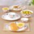 Larah by Borosil Pack of 13 Opalware Pastel Dinner Set Dinner Set
